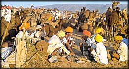 Pushkar Camel Fair