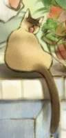 u5LOvby񂱂