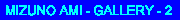 amishrine2.gif (390 Byte)
