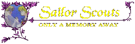 Sailor Scouts - Only A Memory Away