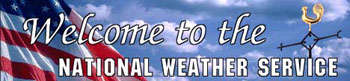 nws.jpg (10461 bytes)