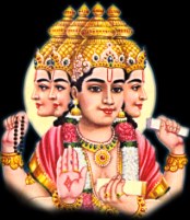 Brahma