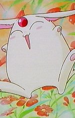 Mokona - "Puu!"