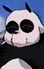 Mr. Panda