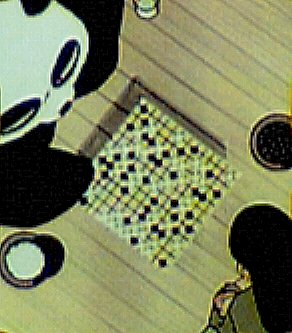 Playing Go