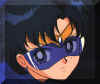 Amivisor3.jpg (30386 Byte)