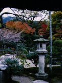 [Lantern in Garden]