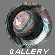 Visit our gallery