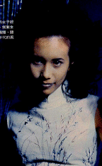 101.jpg (18069 bytes)