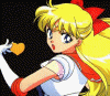 venus14.gif (118469 bytes)