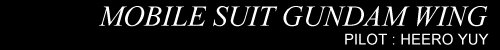 MS Gundam Wing - Pilot : Heero Yuy