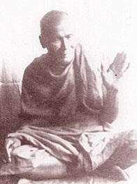 lpchaemta.jpg (18136 bytes)