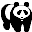 bear11.gif (261 bytes)