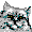 cat08.gif (342 bytes)