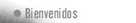 Usted se encuentra en esta seccin