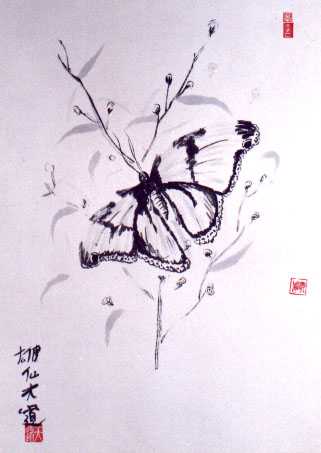 Soy un hombre que so que era una mariposa? O soy una mariposa que est soando que es un hombre?