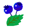 blueberry