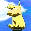 gill2.gif