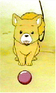 herb.gif