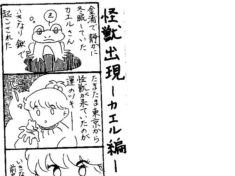 Ikuji Nikki No.13A