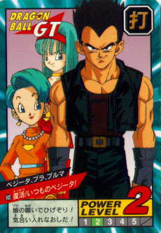 Vejiita, Bulma and Bra