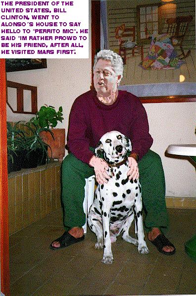 Clinton and Alonso's Dog