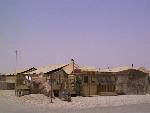 saud06.jpg
