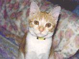 Hootie's photo