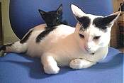 Minnie playing with her pal, Sooty