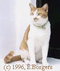 {PHILIBERT}