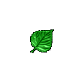 aniLeaf.gif