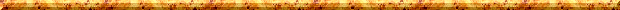 bar6.gif