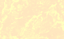 bg113.gif