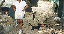 The BEACH LADY helping the beach cats