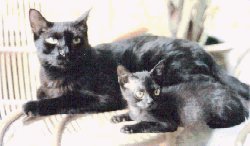 Boris and young Miska