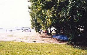 Sea spot along the East Coast