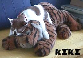 KIKI AND STUFFED TIGER