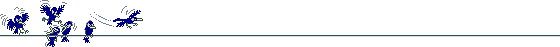 bar11.gif