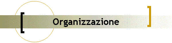 Organizzazione