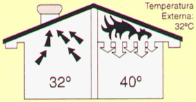 te2.jpg (20059 bytes)