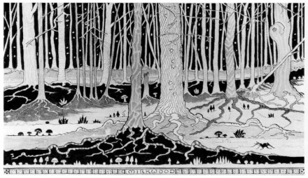 J.R.R. Tolkien -- Mirkwood
