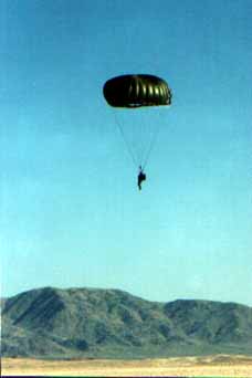 A "Tarantula" from Fort Irwin, Calif.