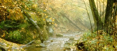Dunston Creek