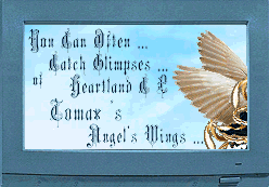 angel award
