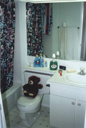 potty