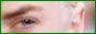 88x31