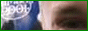 88x31