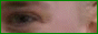 88x31