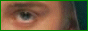 88x31