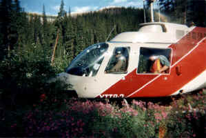 Helicopter in patch of wild flowers